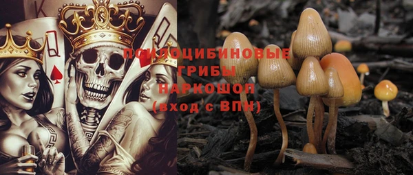 крисы Богданович
