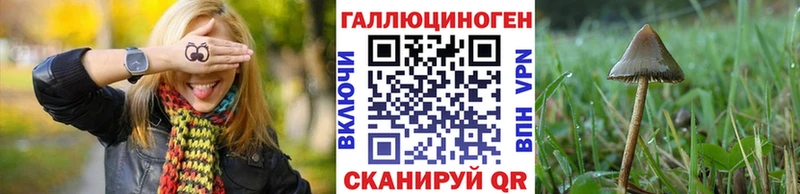 дарнет шоп  Фёдоровский  Псилоцибиновые грибы Psilocybe 